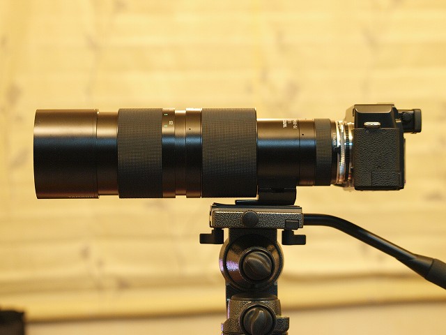 d0050693_0151626.jpg