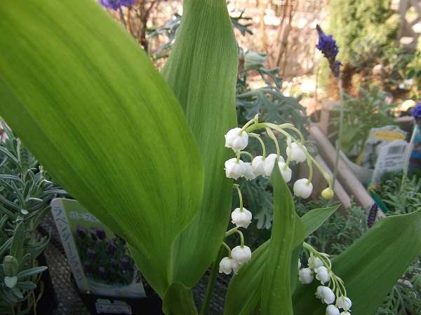 b0207995_1633910.jpg