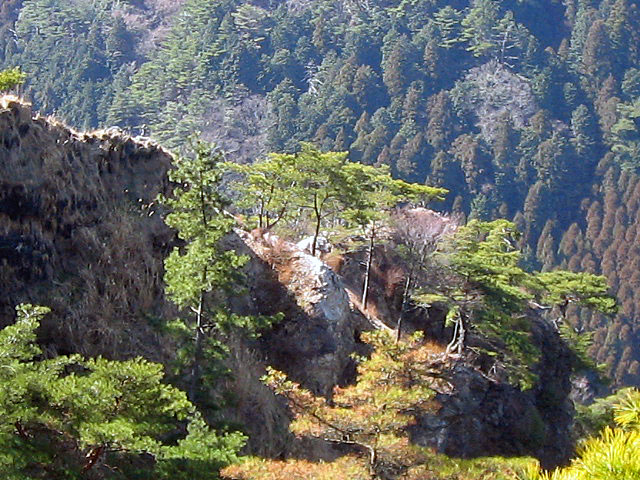 また六甲山トレッキング、住吉道から最高峰へ_b0108100_7491528.jpg