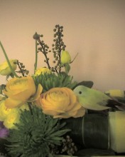 c0164401_15381371.jpg