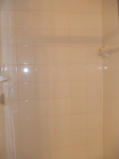 c0062603_1212789.jpg