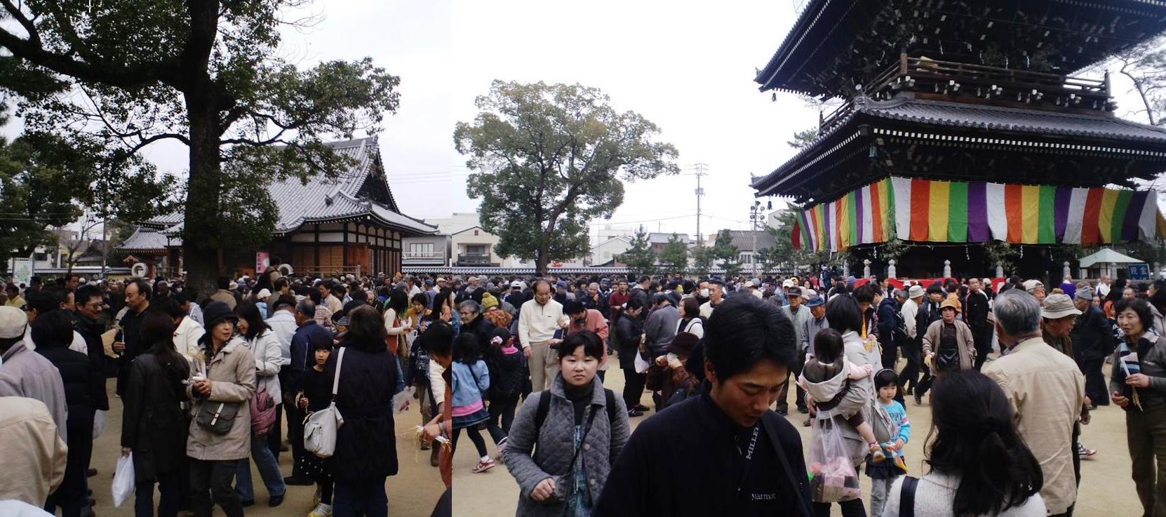 善通寺大会陽、稲穂投げ_d0136506_1551575.jpg
