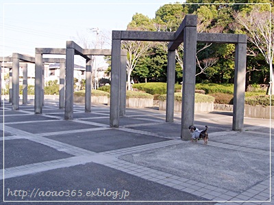 f0203406_1010495.jpg