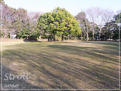 f0203406_1072362.jpg
