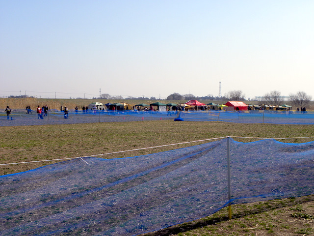 f0224506_21154047.jpg