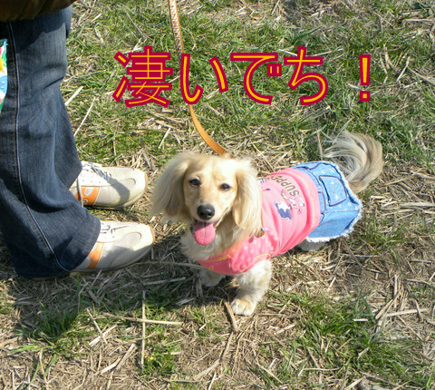 f0224506_2122869.jpg