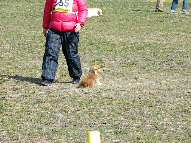 f0224506_21233768.jpg