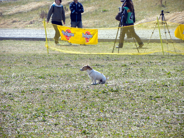 f0224506_21272797.jpg