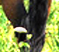 e0103408_017580.jpg