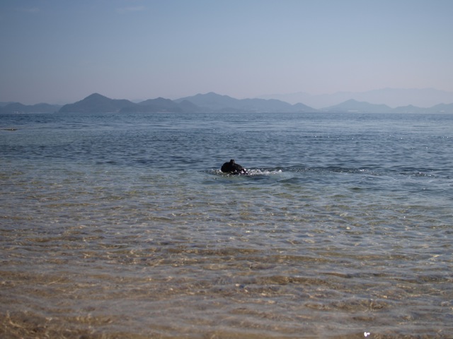 b0143214_17155127.jpg