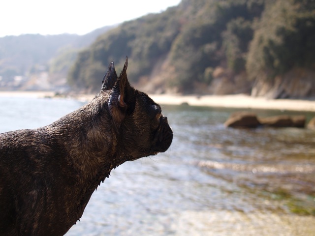 b0143214_17201260.jpg
