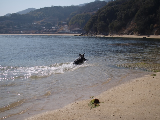 b0143214_1755612.jpg