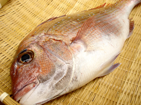 旬の産直鮮魚と季節野菜のグリル_f0051814_21505137.jpg