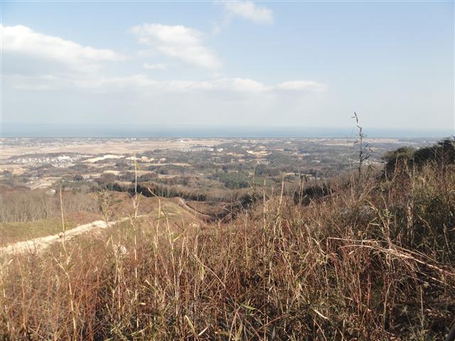 a0127015_21282666.jpg