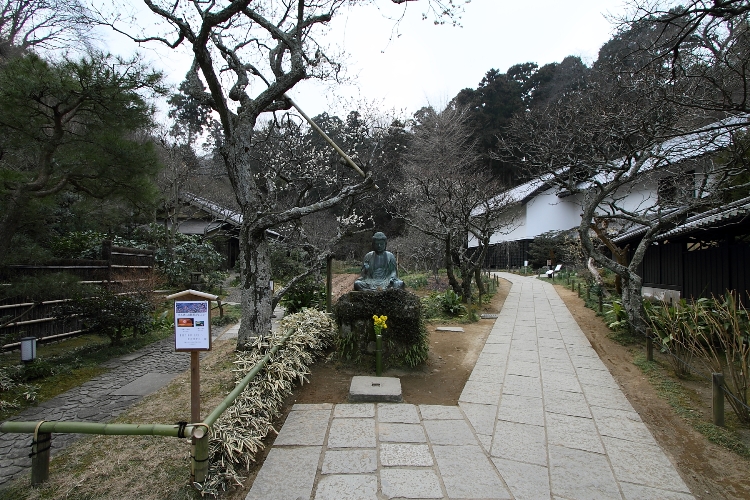 鎌倉散歩　#8 －東慶寺の梅（後編）－_b0169330_1835754.jpg