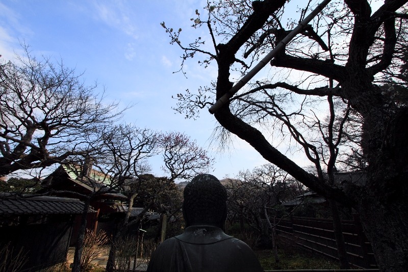 鎌倉散歩　#8 －東慶寺の梅（前編）－_b0169330_1840144.jpg