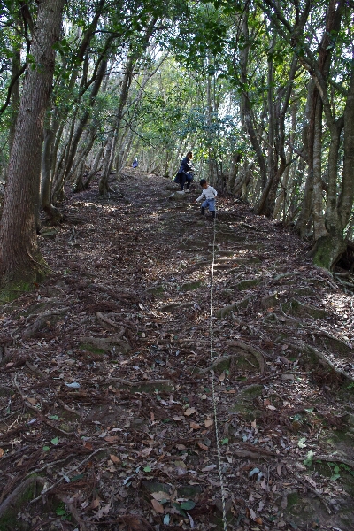c0113733_2337460.jpg