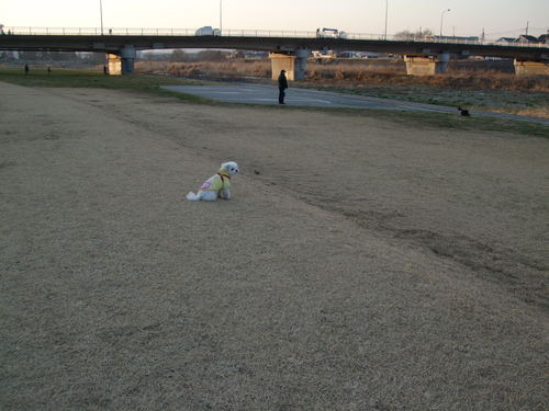 e0191034_10555497.jpg
