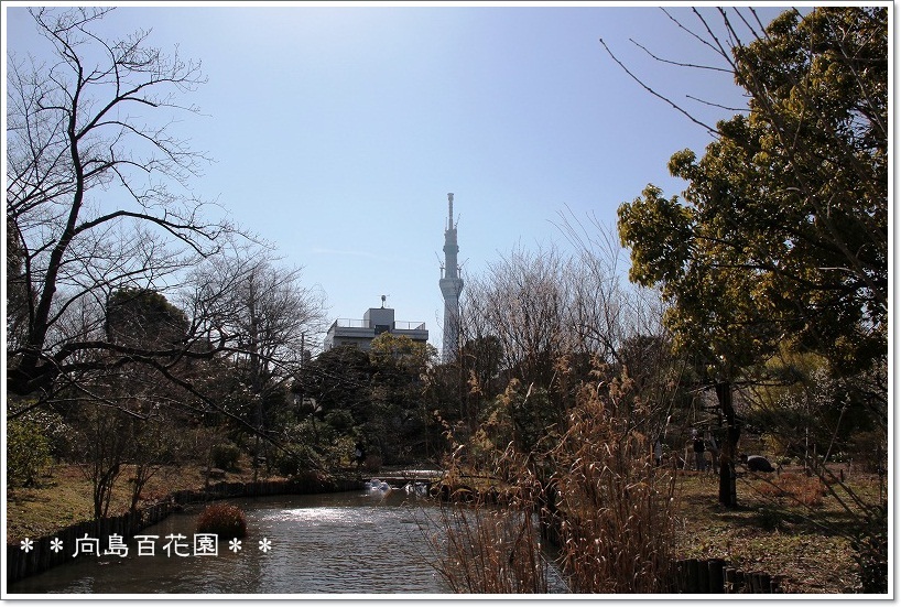 e0052135_1153558.jpg