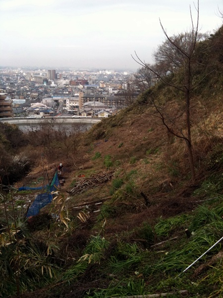 ぶどう畑を開墾!_b0206537_1656759.jpg