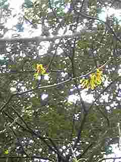 c0077338_21174.jpg