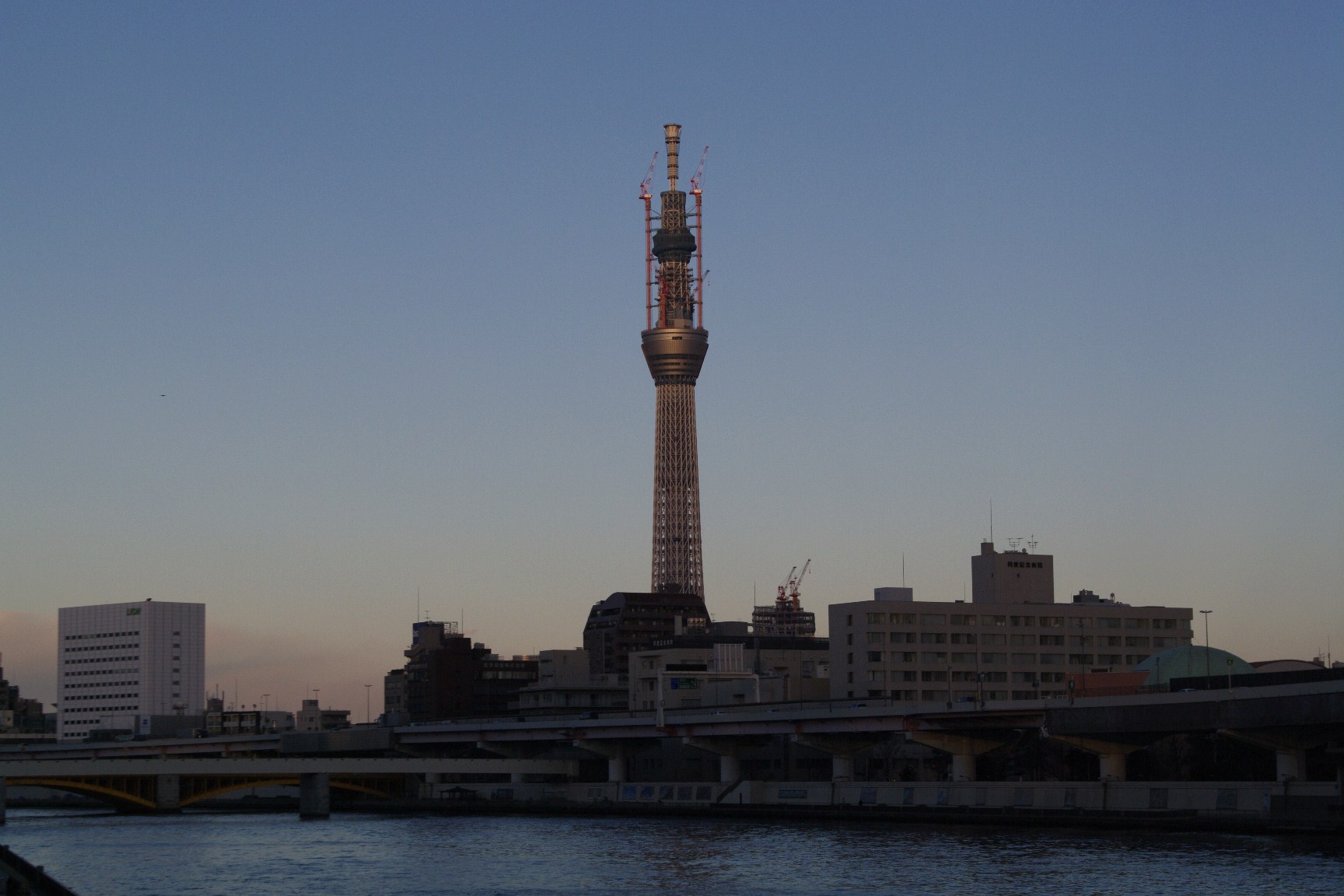 d0185744_78950.jpg