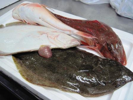 勘栄丸からの魚・新潟県から菅名岳届きました。_c0206545_2321680.jpg