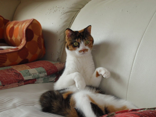 d0078350_1222788.jpg
