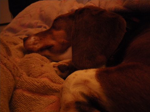 f0046250_03735.jpg