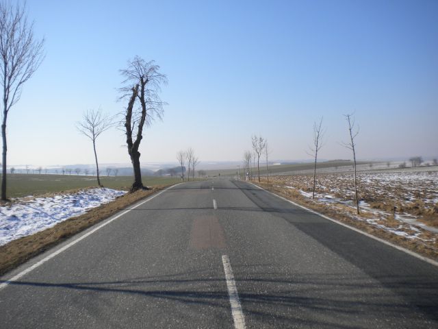 a0089754_8495857.jpg