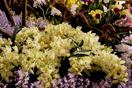 c0219357_17521040.jpg