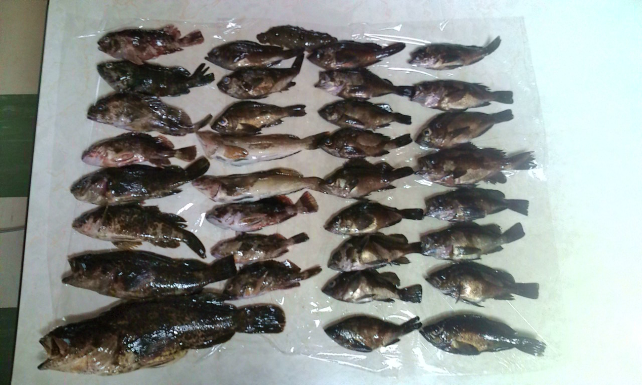 e0213360_21562688.jpg