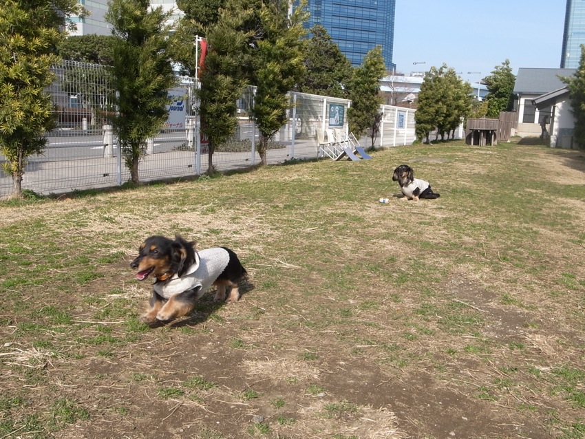 f0179061_2221260.jpg