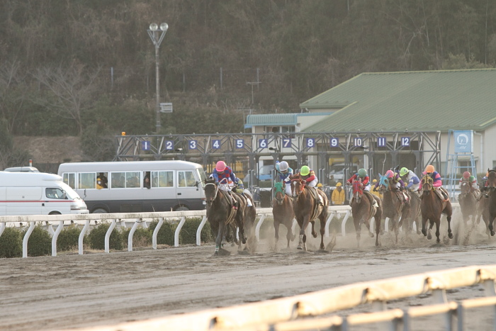 2011年2月26日（土） 高知競馬 4R 中四国連携競馬 鞆の浦シリーズ 第二戦 C その2_a0077663_1914628.jpg