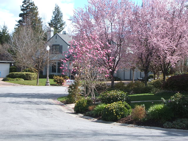 c0115366_2341193.jpg