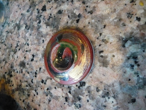 f0142768_04971.jpg