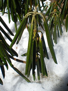 b0056570_129165.jpg