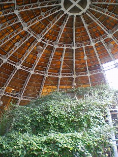 b0056570_143763.jpg