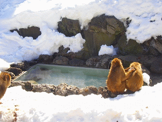 b0056570_1465487.gif