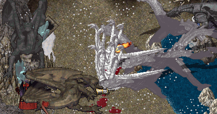 b0190672_2354434.gif