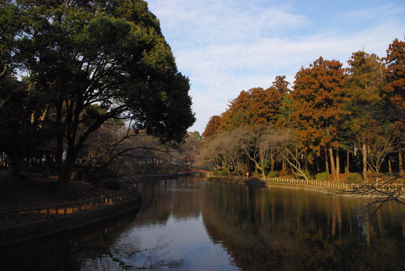 公民館まつり?!小山市響_b0187479_2237572.jpg