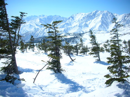 初BCスキー 裏ひよ・裏コルチナ_e0231387_2348577.jpg