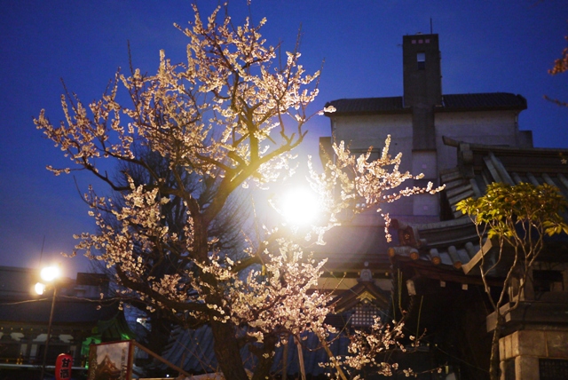 a0127090_9523334.jpg