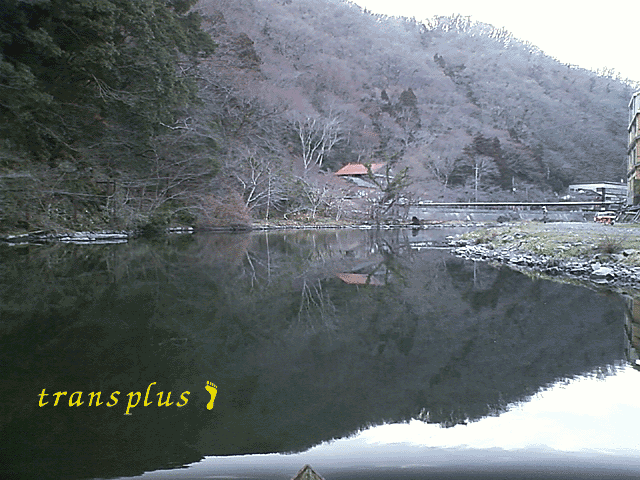 b0031493_18463740.gif