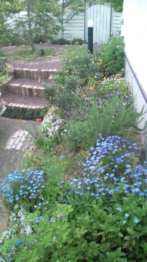 b0207995_2246640.jpg