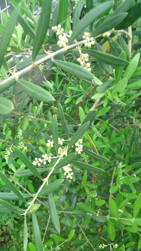 b0207995_23114666.jpg