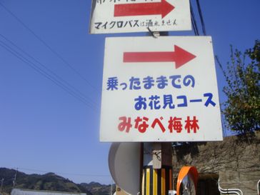 c0191597_98516.jpg