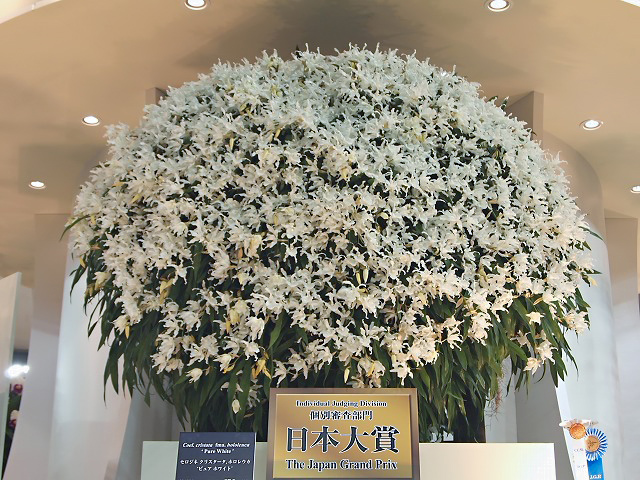 e0039703_14393474.jpg