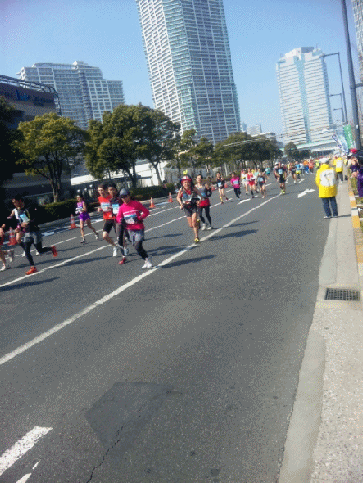 東京マラソン_a0149304_17412389.gif