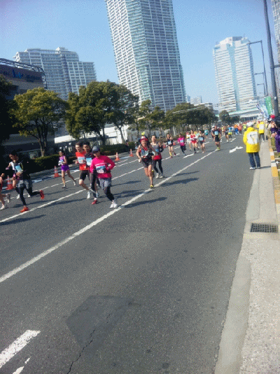 a0149304_17412389.gif